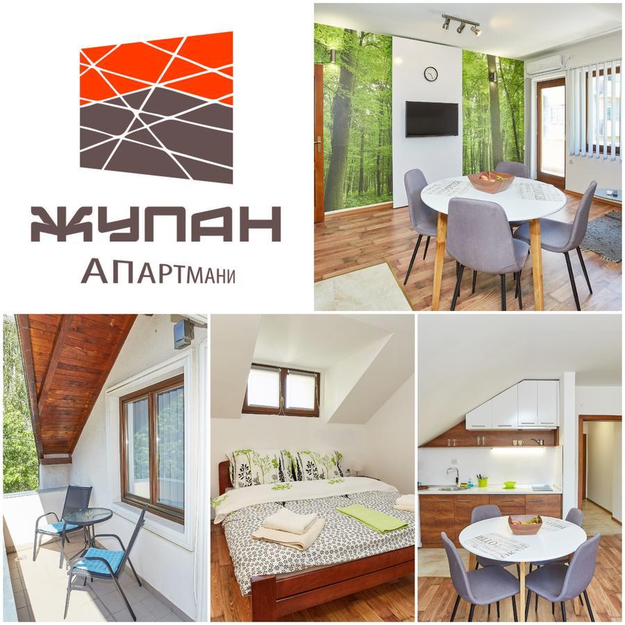 Zupan Apartmani Соко Баня Екстериор снимка